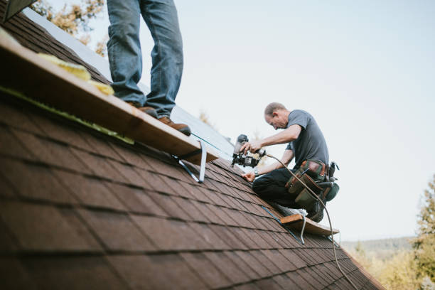 Siding in Newcastle, CA